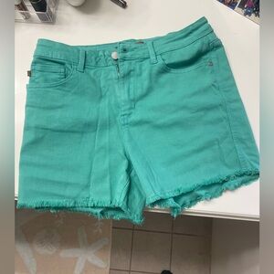 Judy Blue Women's dark mint Denim Shorts